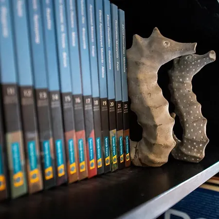 Casa Di Elena 아파트